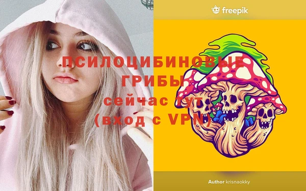 кокаин Белокуриха