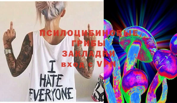 кокаин Белокуриха