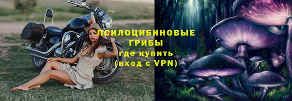 кокаин Белокуриха