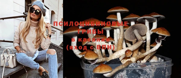 спиды Беломорск