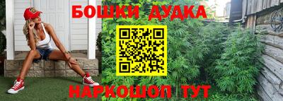 тгк Сланцы