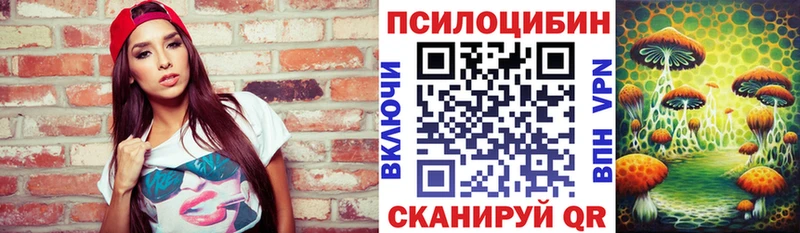 Псилоцибиновые грибы мицелий  Славгород 