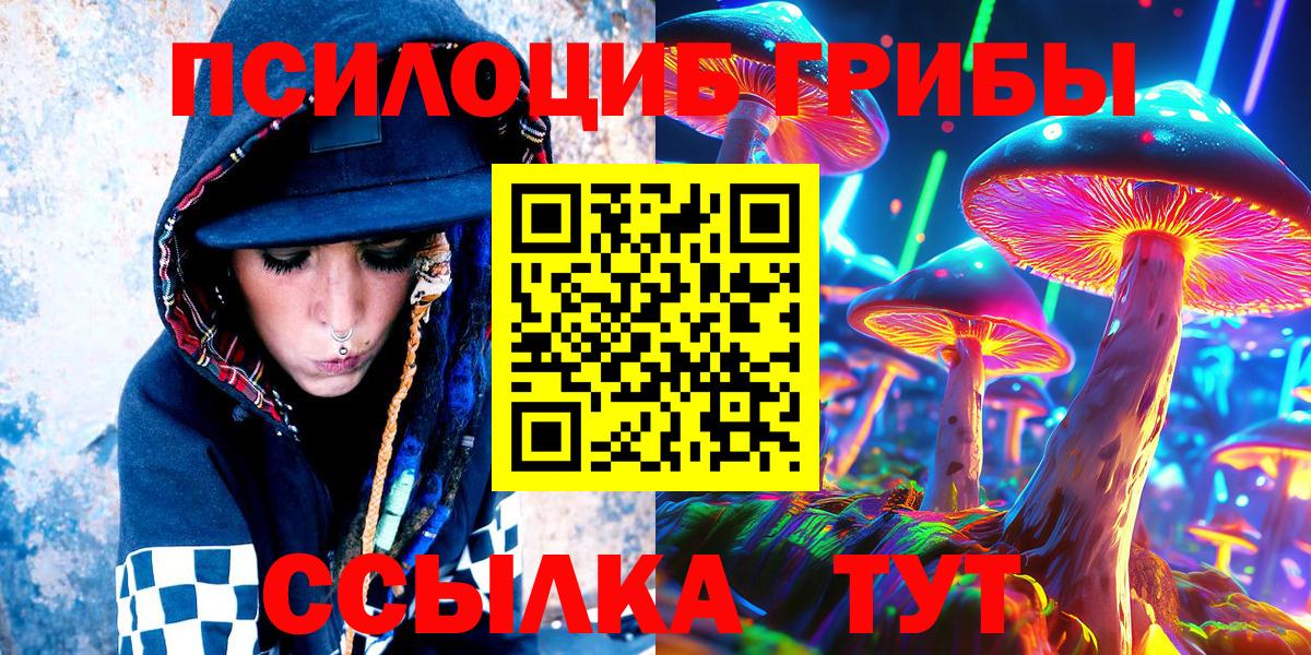 Псилоцибиновые грибы Psilocybe  Вход с VPN  Славгород  Галлюциногенные грибы мухоморы 